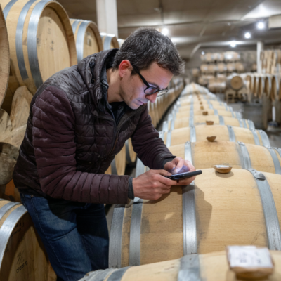 fronton 5
